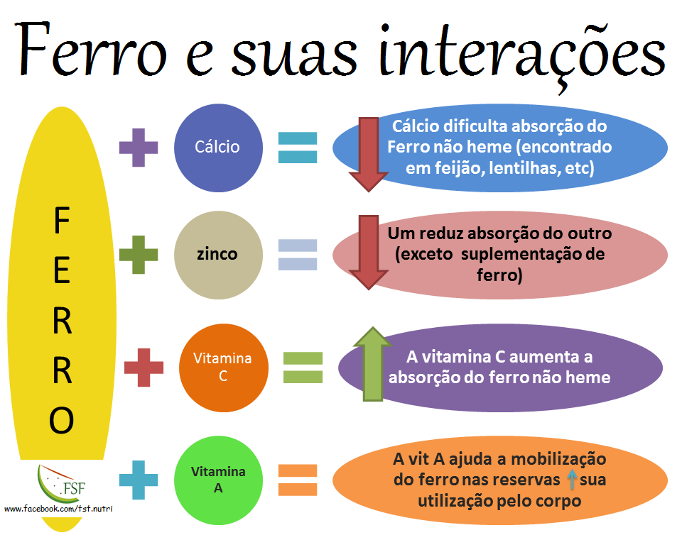 importancia do ferro