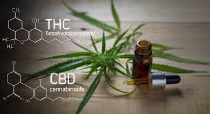 thc vs cbd for anxiety