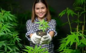 guirl and hemp
