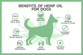benefits for dogs